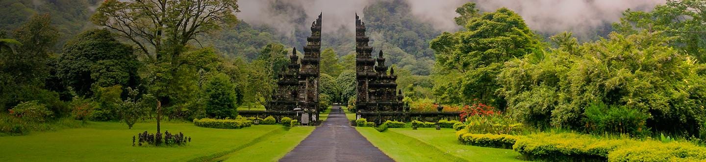 Header background of Towards Net Zero Emissions