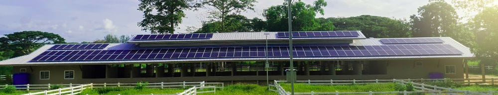 Header background of Peta Solusi Iklim