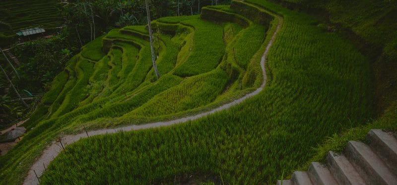 image of Foto: Sesi Panel Diskusi – Bali Green Innovation Summit 2025